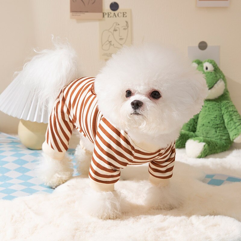 Macacão Pet Bear