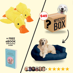 Quacker® Calming Duck Toy (FREE Today)