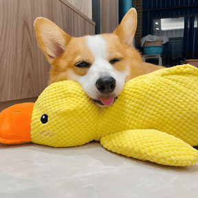 Quacker® Calming Duck Toy (FREE Today)