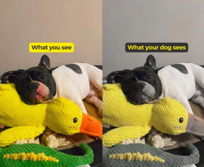 Quacker® Calming Duck Toy (FREE Today)