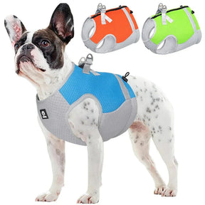 Pet Cool Colete Refrescante com Proteção UV e Faixa Reflexiva