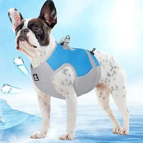 Pet Cool Colete Refrescante com Proteção UV e Faixa Reflexiva